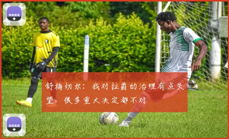 舒梅切尔：我对拉爵的治理有点失望，很多重大决定都不对