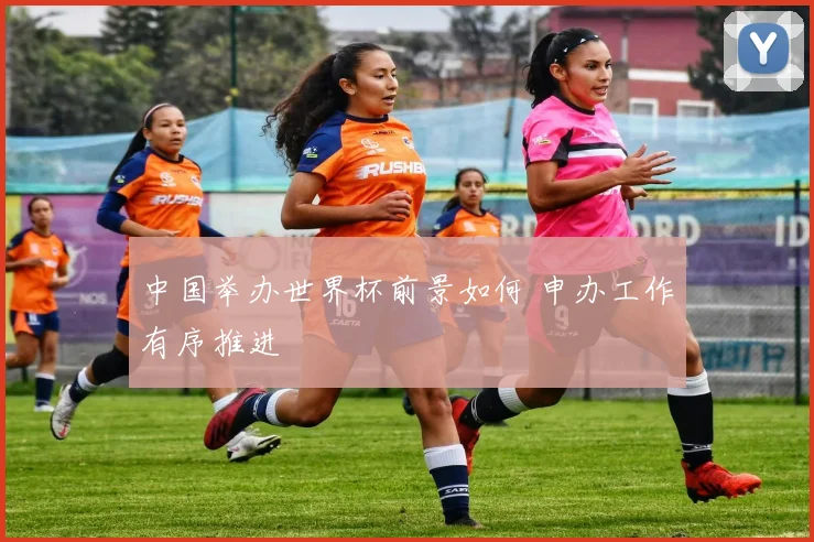 中国举办世界杯前景如何 申办工作有序推进