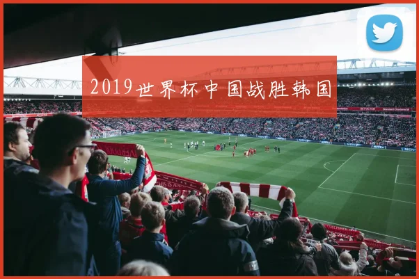 2019世界杯中国战胜韩国