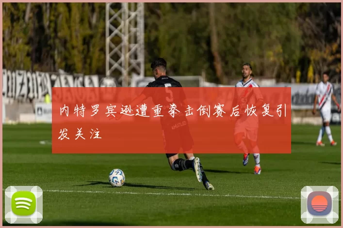 内特罗宾逊遭重拳击倒赛后恢复引发关注