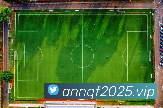 开云(中国)Kaiyun·官方网站 - 科技股份有限公司服务体系