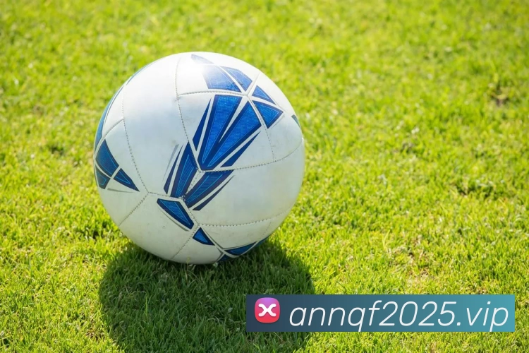 辅助工具 辅助工具